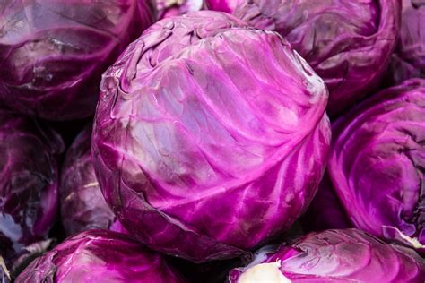 May 1, 2023 · Cut a medium purple cabbage into 4 equal wedges. Then slice the core off of each wedge and slice each wedge into thin strips. Assemble the salad. Place the sliced cabbage into a large bowl and add the chopped pecans, dill, salt, pepper, and dressing to it. Combine until all the ingredients are well incorporated. 